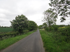 P2018DSC00954	The road between Lutton and Glatton.