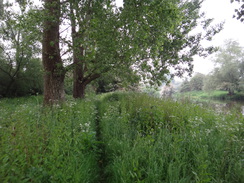 P2018DSC00995	Following the Nene Way towards Sutton.