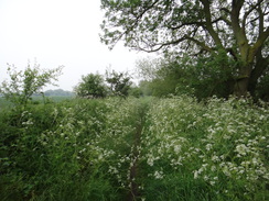 P2018DSC01038	Following the Nene Way east past Water Newton.