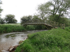 P2018DSC01076	The second footbridge over Back Dike.