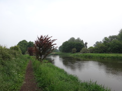 P2018DSC01089	Following the Nene Way north towards Ferry Bridge.