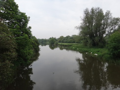 P2018DSC01112	The Nene viewed from Bluebell Bridge.