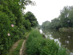 P2018DSC01138	Following the Nene east towards Peterborough.