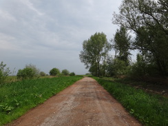 P2018DSC01246	The track heading south from Dog-in-a-Doublet towards Whittlesey.