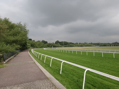 P2018DSC01332	Chester racecourse.