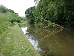 P2018DSC01584	Following the canal west from Beeston.