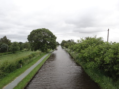 P2018DSC01883	Looking along the Prees Branch from Roving Bridge.