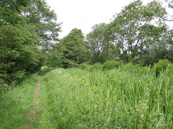 P2018DSC01892	Following the old canal south towards Waterloo.