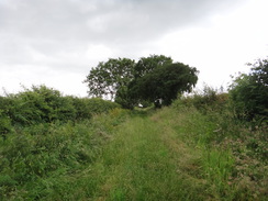 P2018DSC01932	The green lane near Clive Wood.