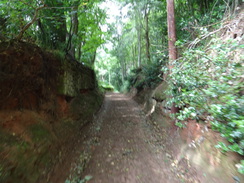 P2018DSC01974	The track between Grinshill and Clive.