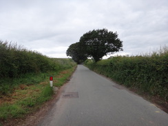 P2018DSC01997	Following the road west from Yorton railway station.