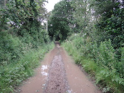 P2018DSC02035	The boggy path leading east towards Bicton.