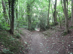 P2018DSC02044	The track leading down past Shelton.