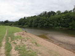 P2018DSC02054	The path beside the Severn.