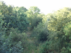 P2018DSC02389	Crossing the old Great Central railway line near Charwelton.