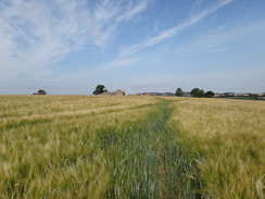 P2018DSC02423	A path near Bates Farm.