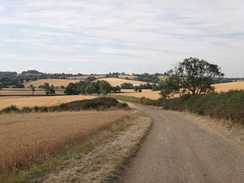 P2018DSC02447	Looking back towards Staverton.