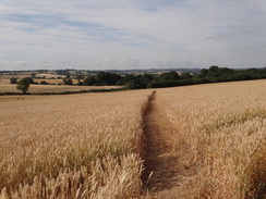 P2018DSC02452	A view back from near the A45(T).