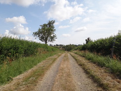 P2018DSC02475	The track heading northeast out of Braunston.