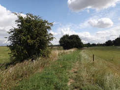 P2018DSC02507	The path past Bramleys Dairy Farm.