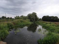 P2018DSC02563	The Nene at the end of Duston Mill Lane.