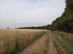 P2018DSC02606	The path alongside Dallington Heath.