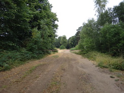 P2018DSC02611	The track through Harlestone Heath.