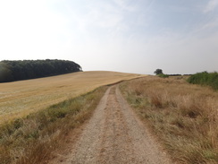 P2018DSC02638	The track between Nobottle and Upper Heyford.