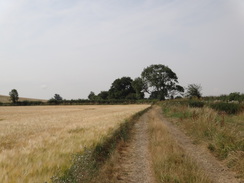 P2018DSC02640	The track between Nobottle and Upper Heyford.