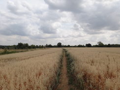 P2018DSC02676	The path leading into Kislingbury.