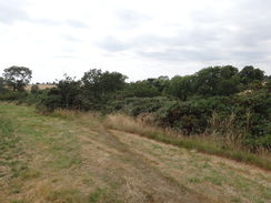 P2018DSC02863	The point the path to Elkington diverges by Elkington Covert.