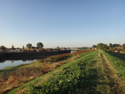 P2018DSC02885	Looking back up the Nene towards Wisbech.