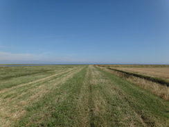 P2018DSC02963	Following the floodbank north to the mouth of the Nene.