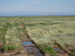 P2018DSC02968	Marshland and the distant Outer Trial Bank.