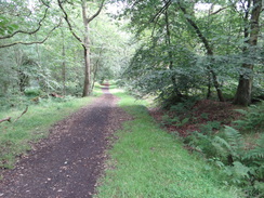 P2018DSC03584	The Antonine Wall above Rough Castle Tunnel.