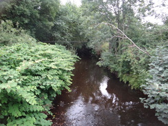 P2018DSC03695	Allander Water to the south of Milngavie.