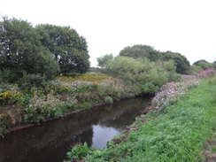 P2018DSC03705	Following Allander Water southeastwards from Milngavie.