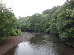 P2018DSC03761	The River Kelvin to the north of Maryhill.