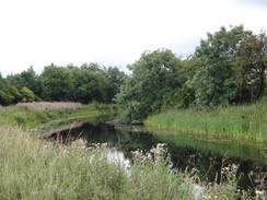 P2018DSC04175	Following the canal northwestwards from Dalmuir.