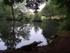 P2018DSC04362	A pond in the grounds of Wroxton Abbey.