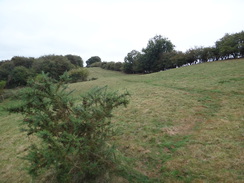 P2018DSC04383	Heading past Padsdon Bottom.