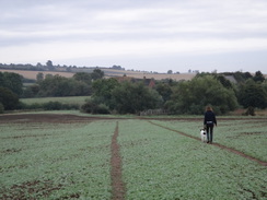 P2018DSC04671	Following a path down to the Stour.