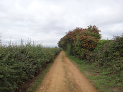 P2018DSC04731	Following the track west off Ebrington Hill.