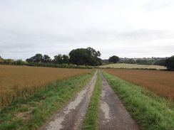 P2018DSC04745	The track heading northwest from Hidcote.