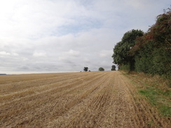 P2018DSC04756	Following the edge of a field into Chipping Campden.