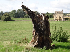 P2018DSC04818	A stump and a banqueting house.