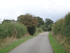 P2018DSC04856	Following the road east from Ditchford Frary.