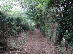 P2018DSC04900	The enclosed path heading west from Sturdy's Castle.