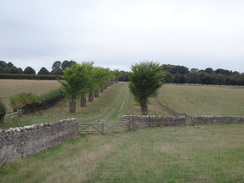 P2018DSC04908	Following the Oxfordshire Way west across Blenheim Great Park.