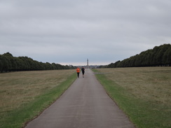 P2018DSC04913	Runers on the main avenue through Blenheim Great Park.